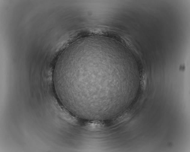 X0000115330466200911161813