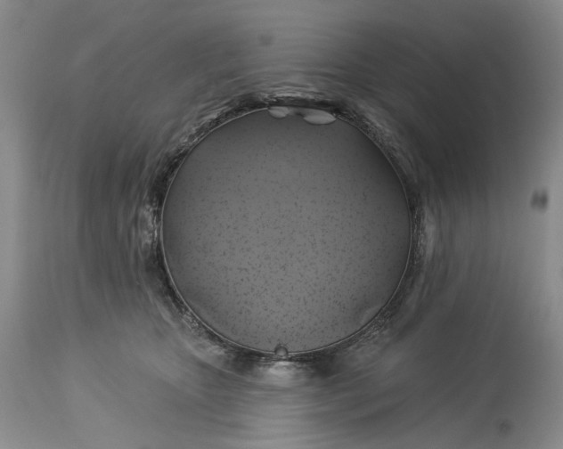 X0000115330467200911161813