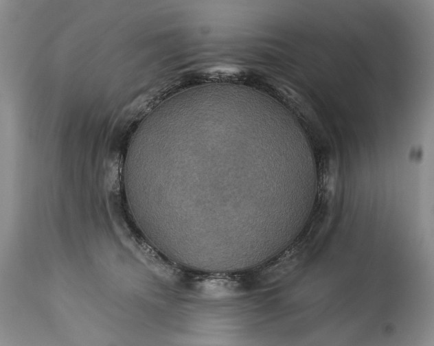 X0000115330468200911161813