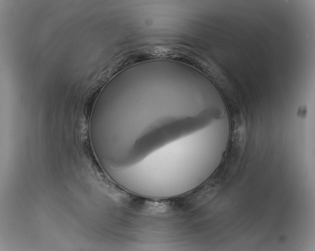 X0000115330469200911161813