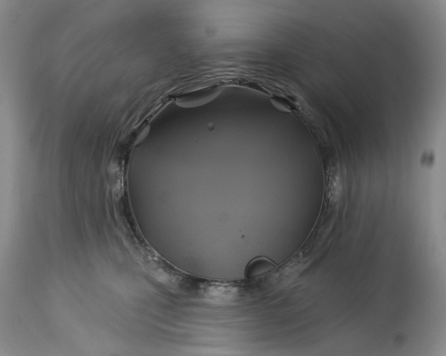 X0000115330471200911161813