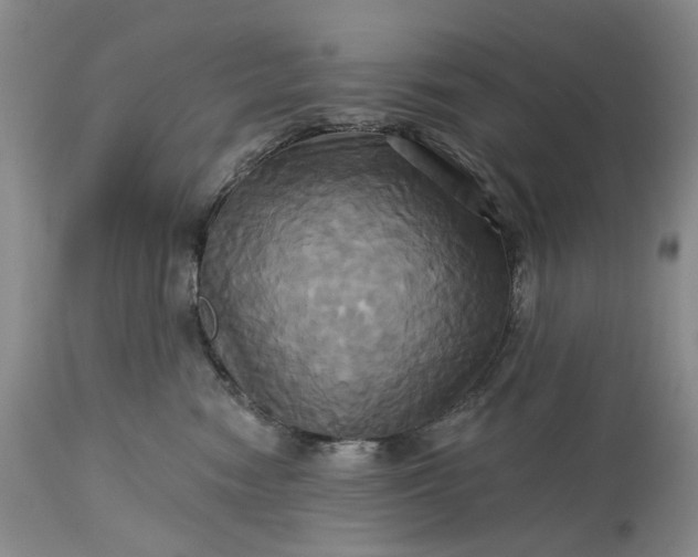 X0000115330474200911161813