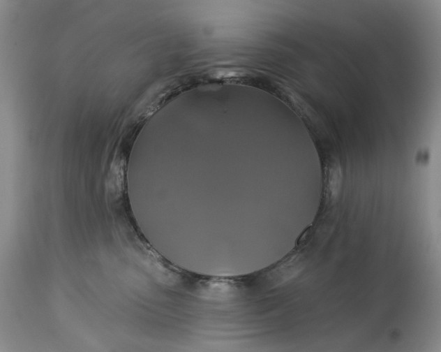 X0000115330475200911161813