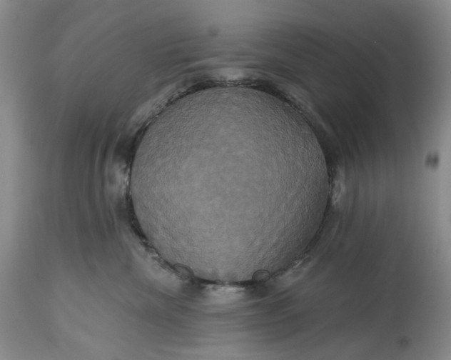 X0000115330476200911161813