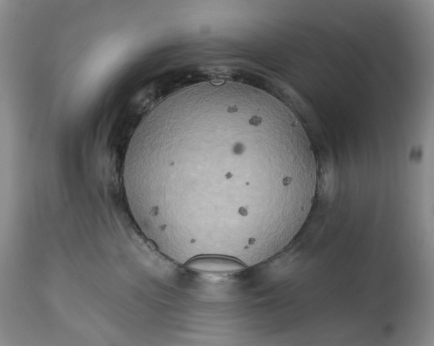 X0000115330477200911161813