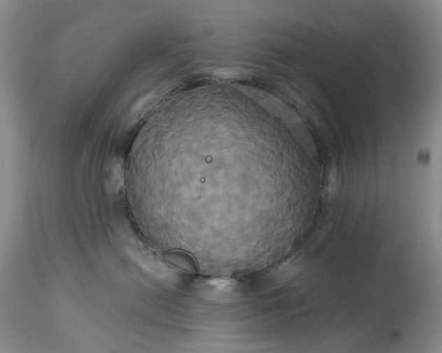 X0000115330478200911161813