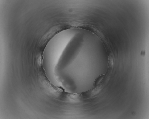 X0000115330479200911161813