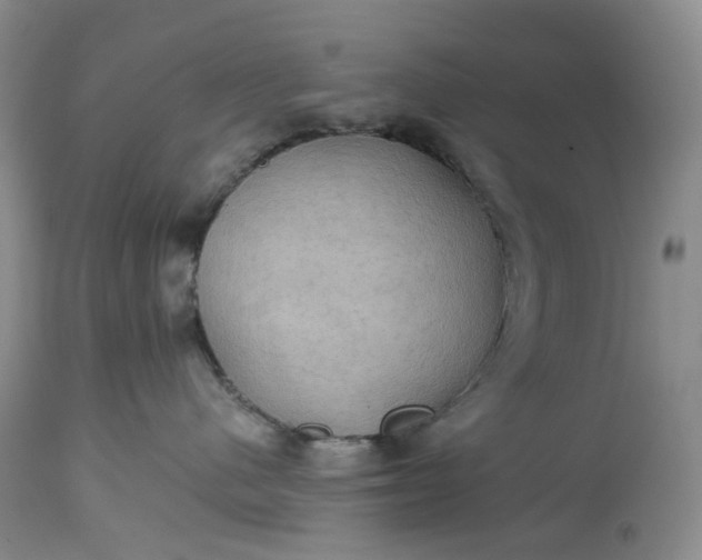 X0000115330480200911161813