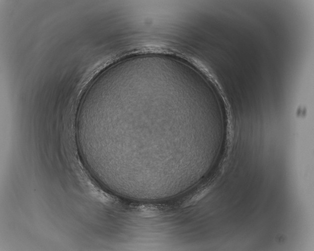 X0000115330481200911161812