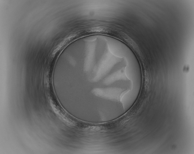 X0000115330482200911161812