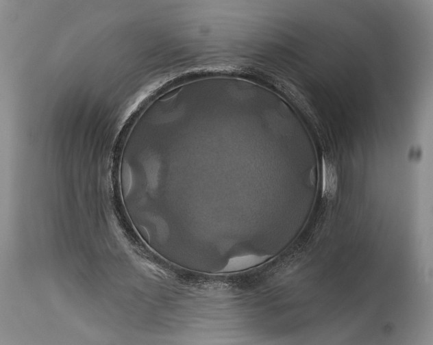 X0000115330483200911161812