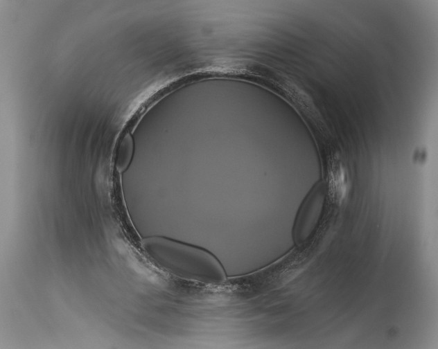 X0000115330484200911161812