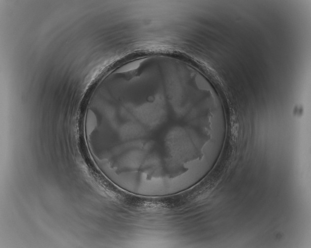 X0000115330487200911161812