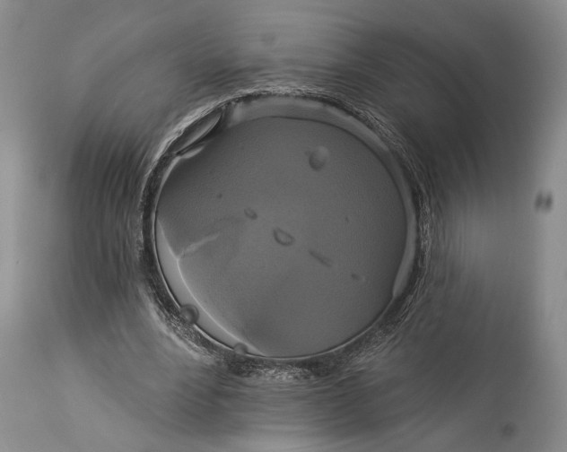 X0000115330488200911161812