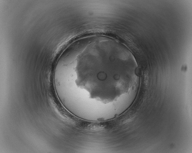 X0000115330491200911161812