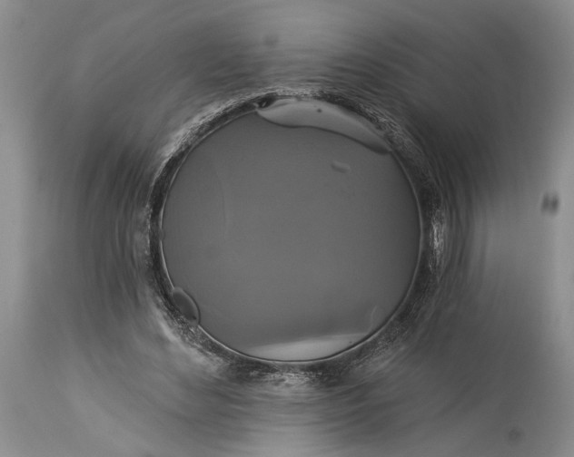 X0000115330492200911161812