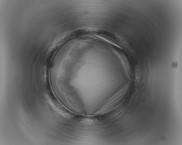 X0000115330494200911161812