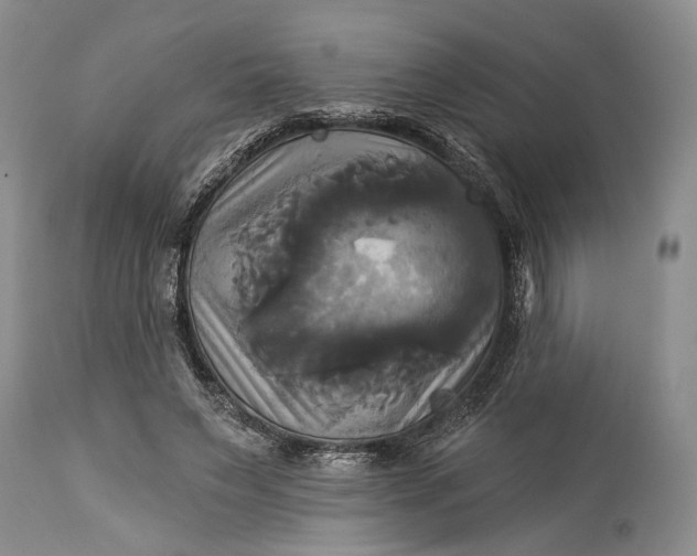 X0000115330495200911161812