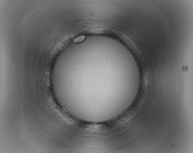 X0000115330497200911161812