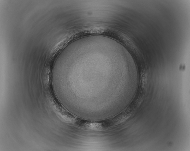 X0000115330501200911161812