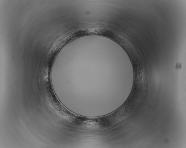 X0000115330502200911161812