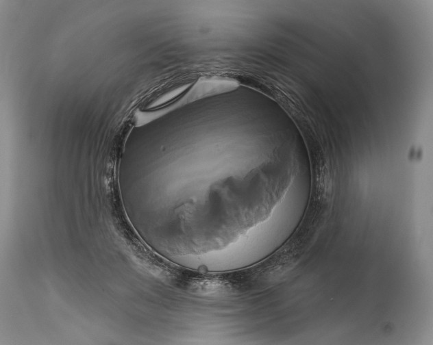 X0000115330503200911161812