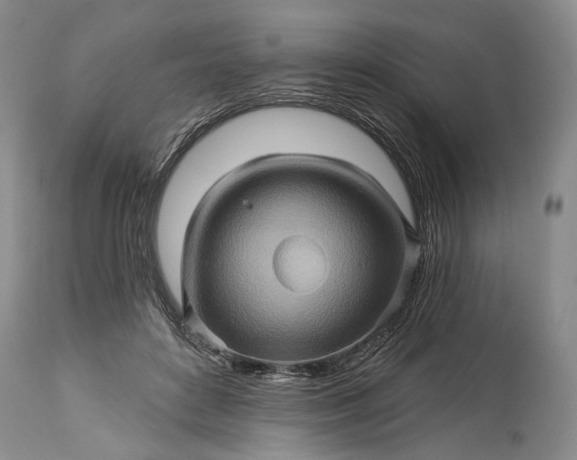 X0000115330504200911161812