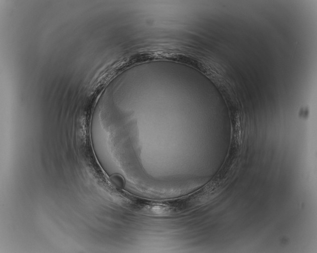 X0000115330506200911161812