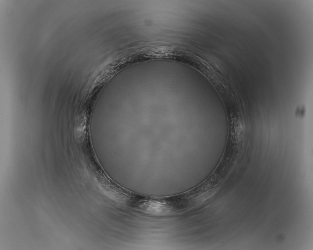 X0000115330507200911161812