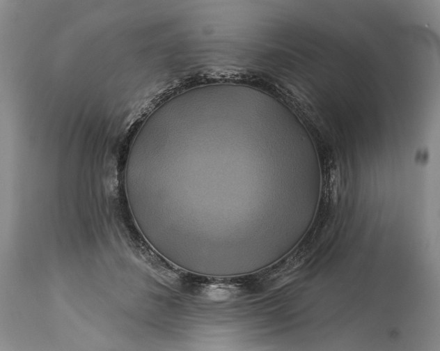 X0000115330508200911161812