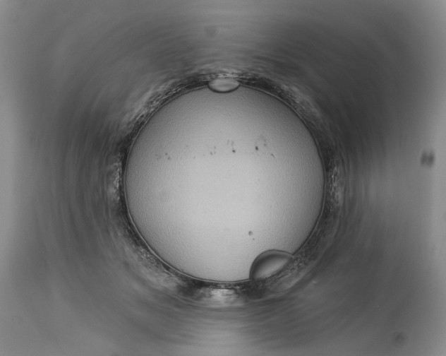 X0000115330509200911161812