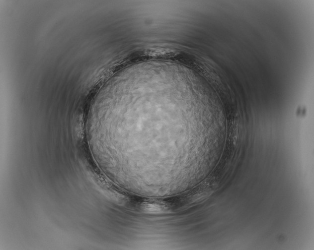 X0000115330510200911161812