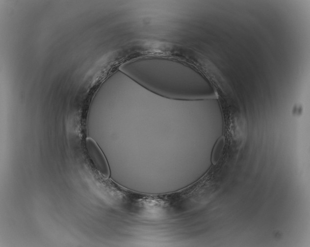 X0000115330512200911161812