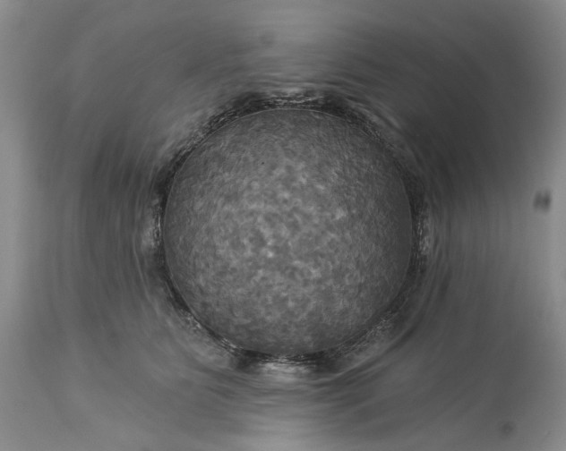 X0000115330515200911161812