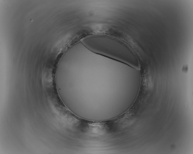 X0000115330516200911161812