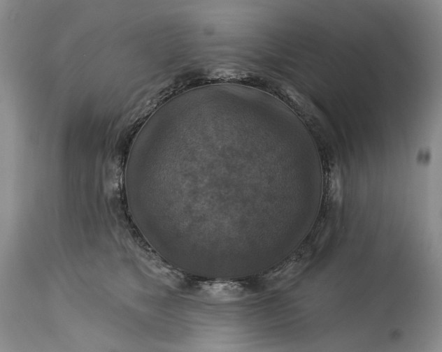 X0000115330517200911161812