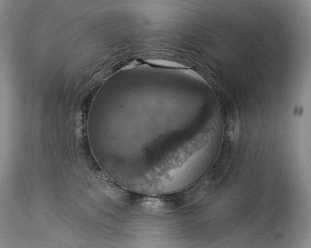 X0000115330519200911161812