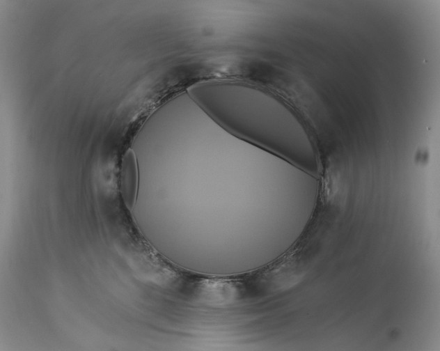 X0000115330520200911161812