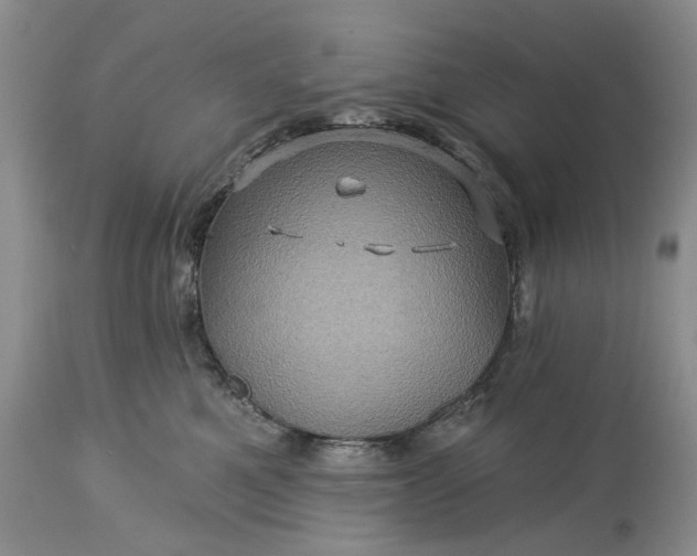 X0000115330521200911161812