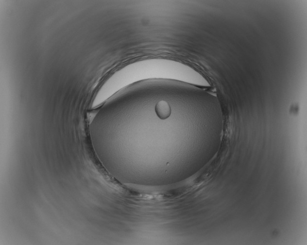 X0000115330524200911161812