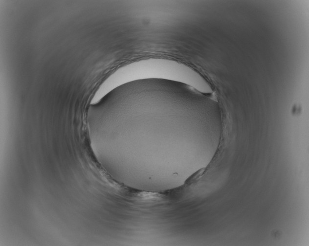 X0000115330528200911161812