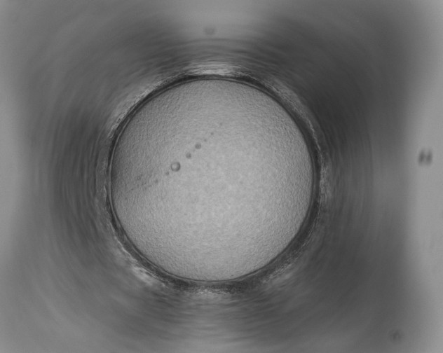 X0000115330529200911161811