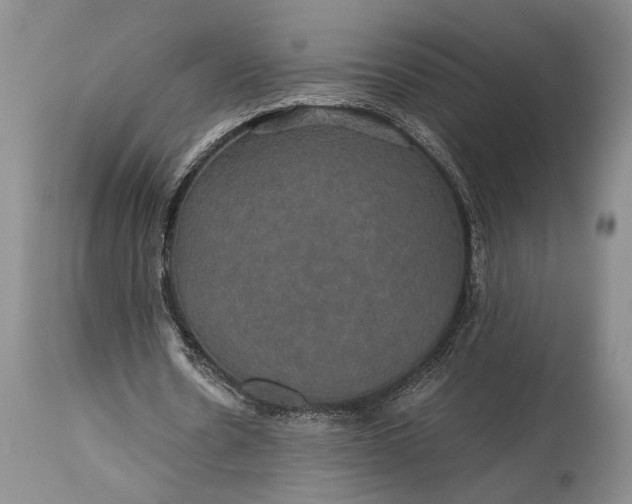 X0000115330530200911161811