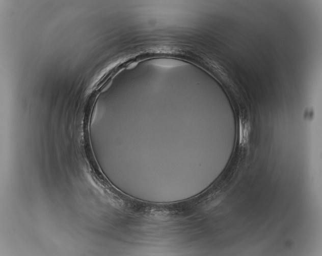 X0000115330531200911161811