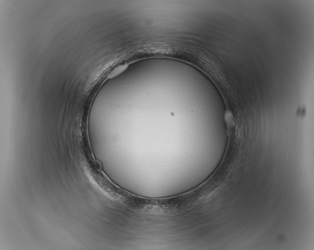 X0000115330538200911161811