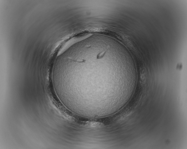 X0000115330539200911161811