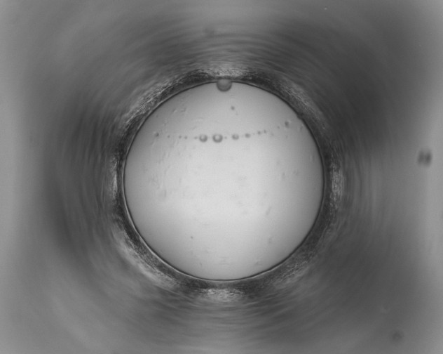 X0000115330541200911161811