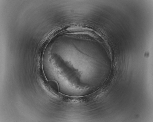 X0000115330542200911161811