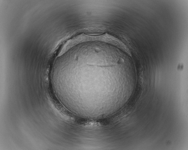 X0000115330543200911161811