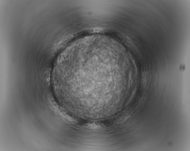 X0000115330545200911161811